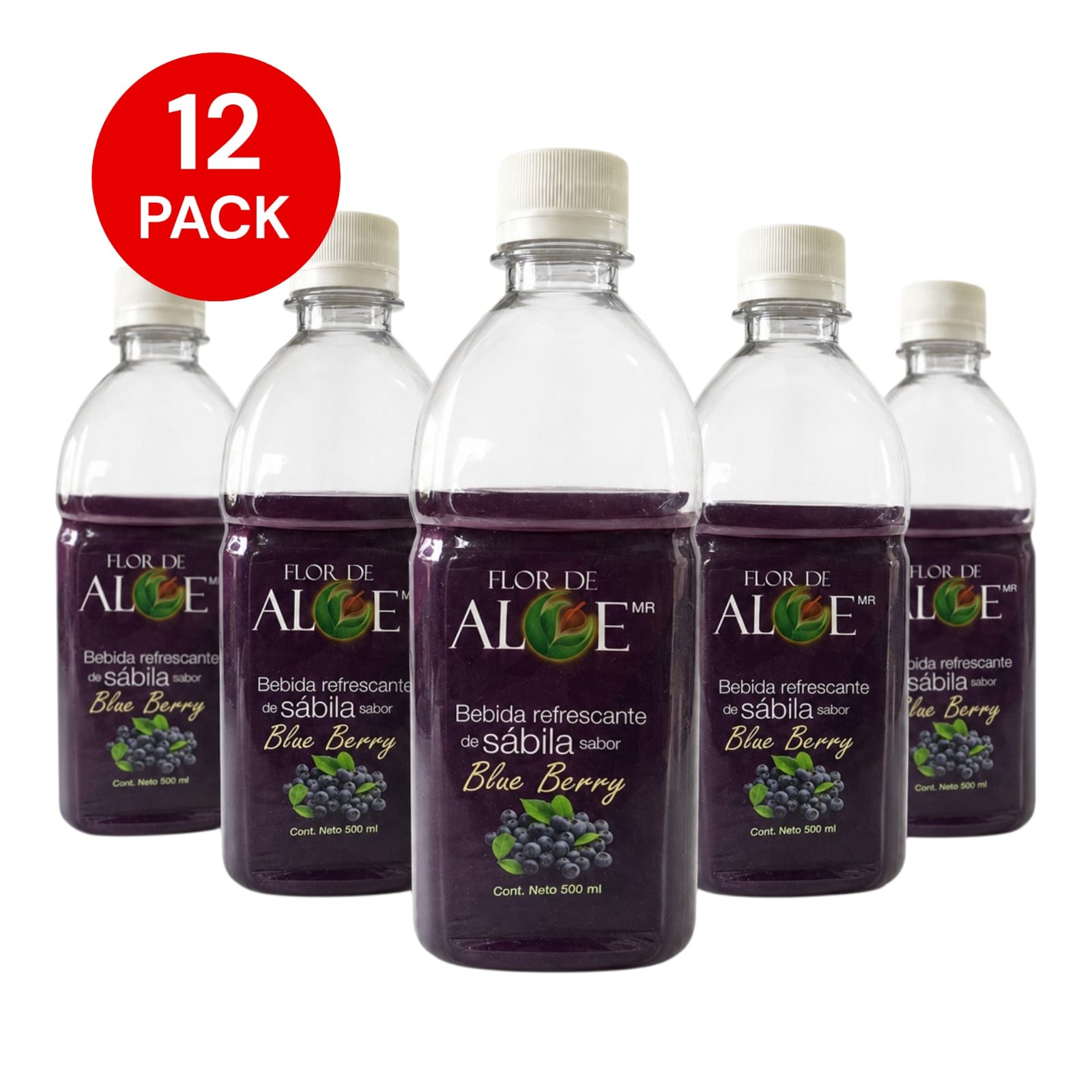 AGUA SABOR BLUEBERRY 12 PACK