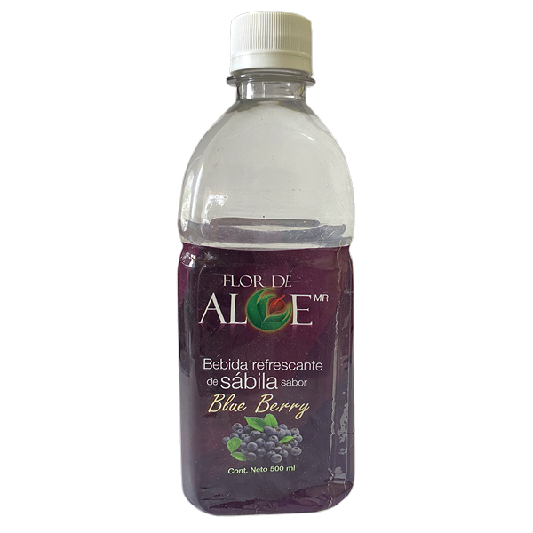 AGUA SABOR BLUEBERRY 12 PACK